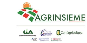 AGRINSIEME: “APRIREMO IN MANIERA POSITIVA IL CONFRONTO CON COPAGRI, AL TERMINE DEL PROCESSO DI RIORGANIZZAZIONE DEL COORDINAMENTO”